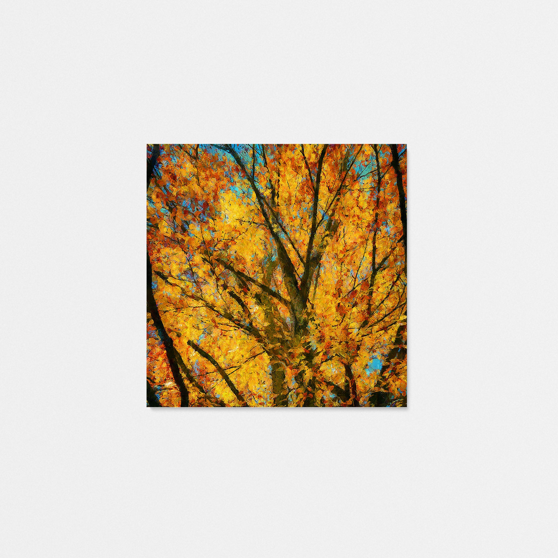 Autumn Leaves