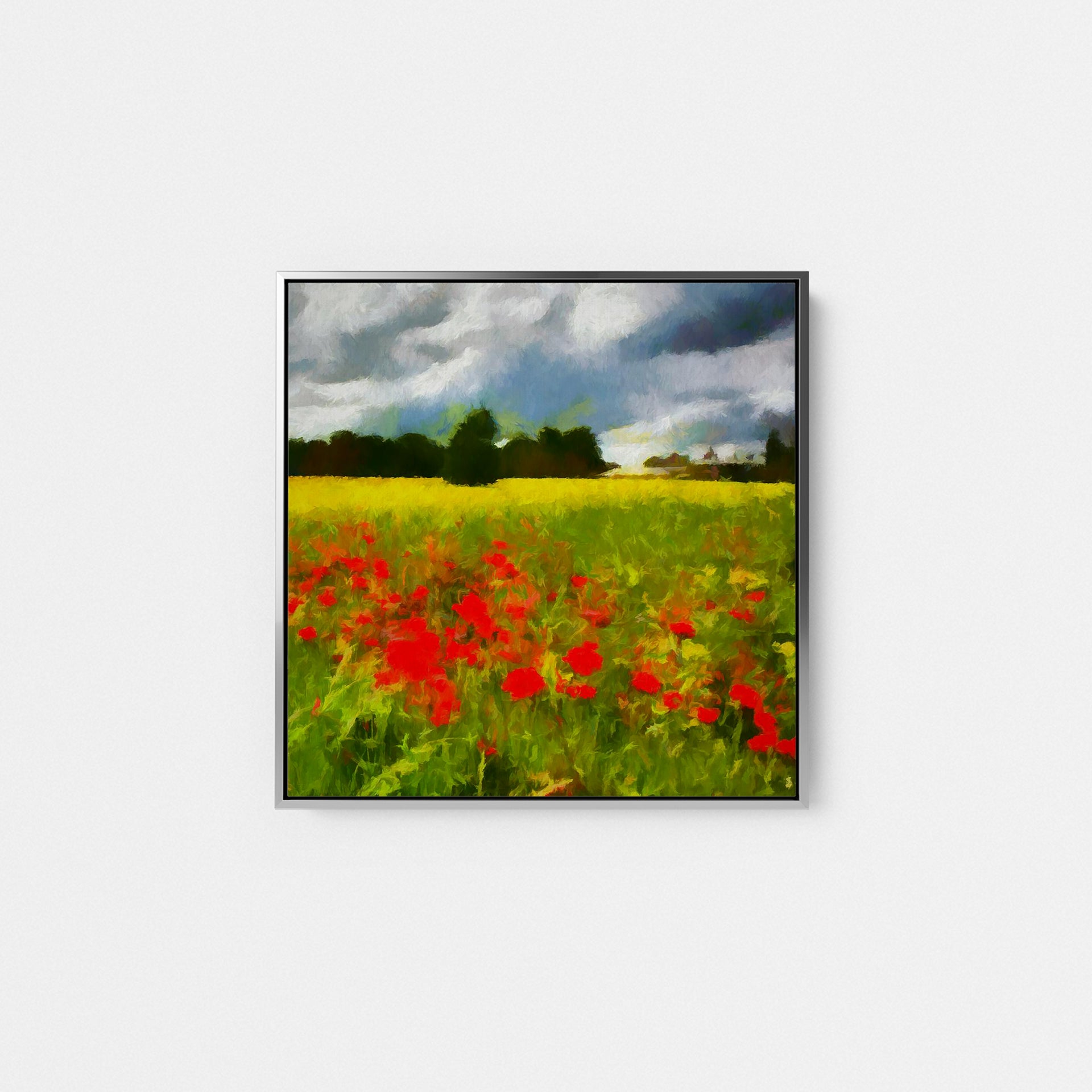 Bordeaux Poppy Fields II