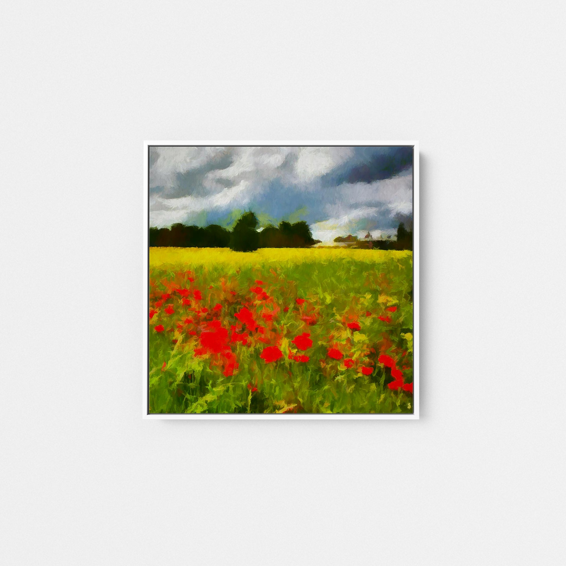 Bordeaux Poppy Fields II