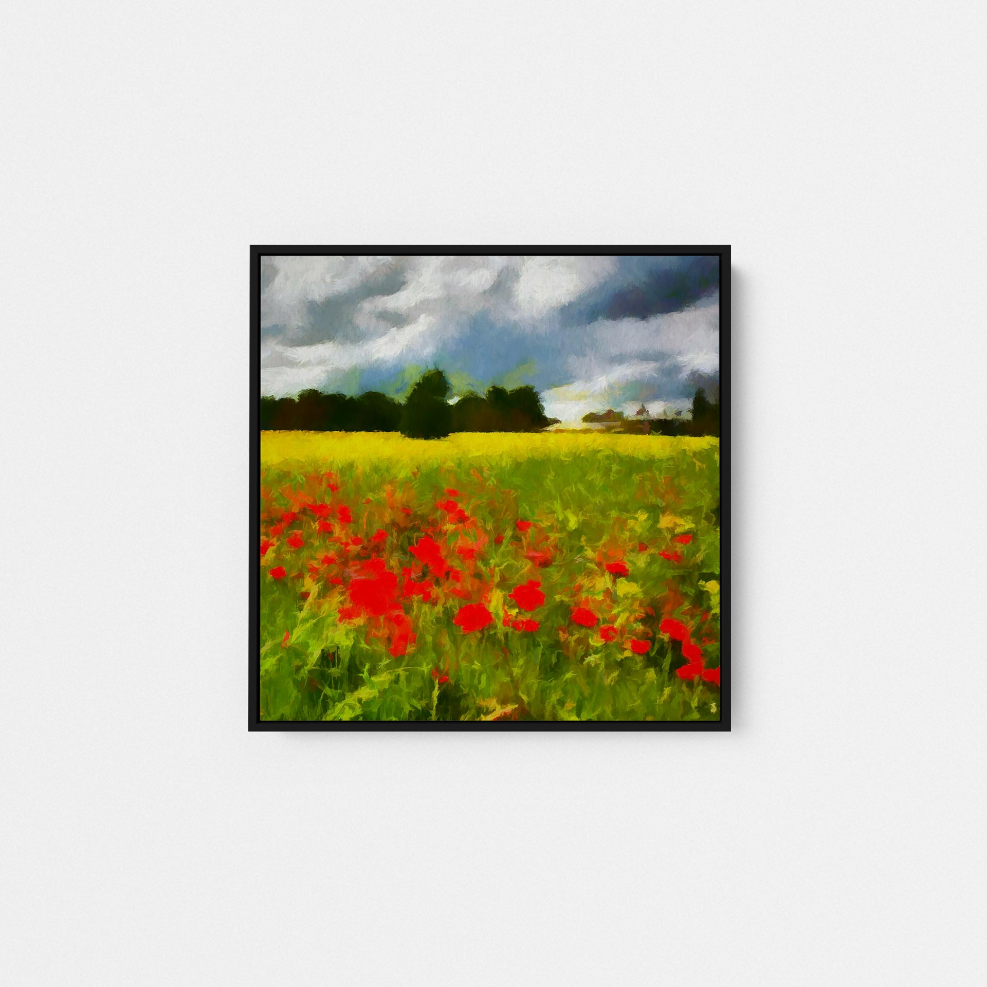 Bordeaux Poppy Fields II