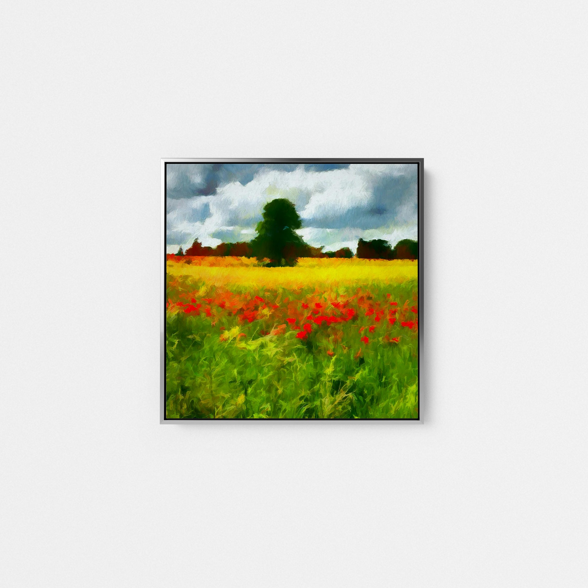 Bordeaux Poppy Fields I