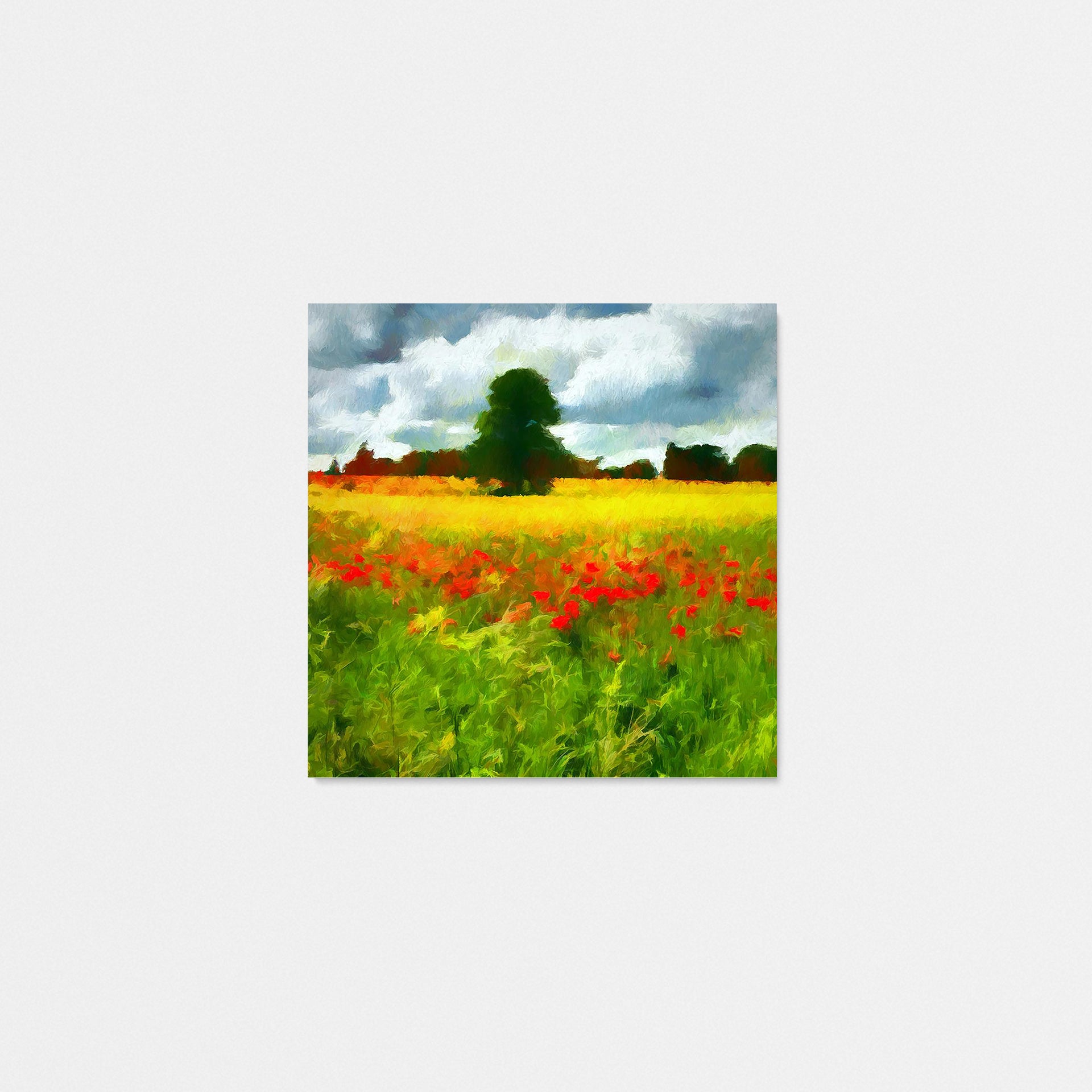 Bordeaux Poppy Fields I