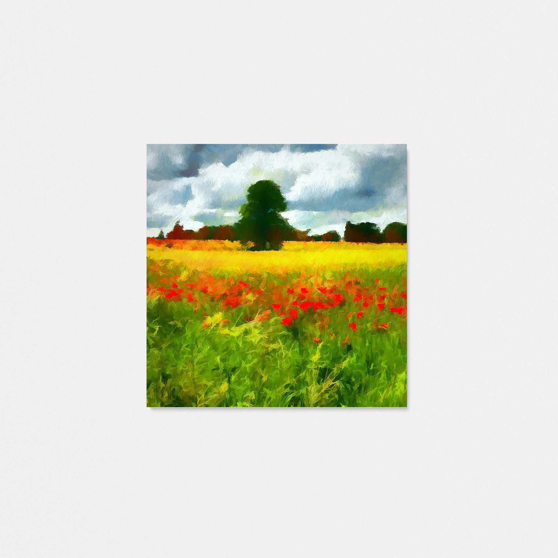 Bordeaux Poppy Fields I