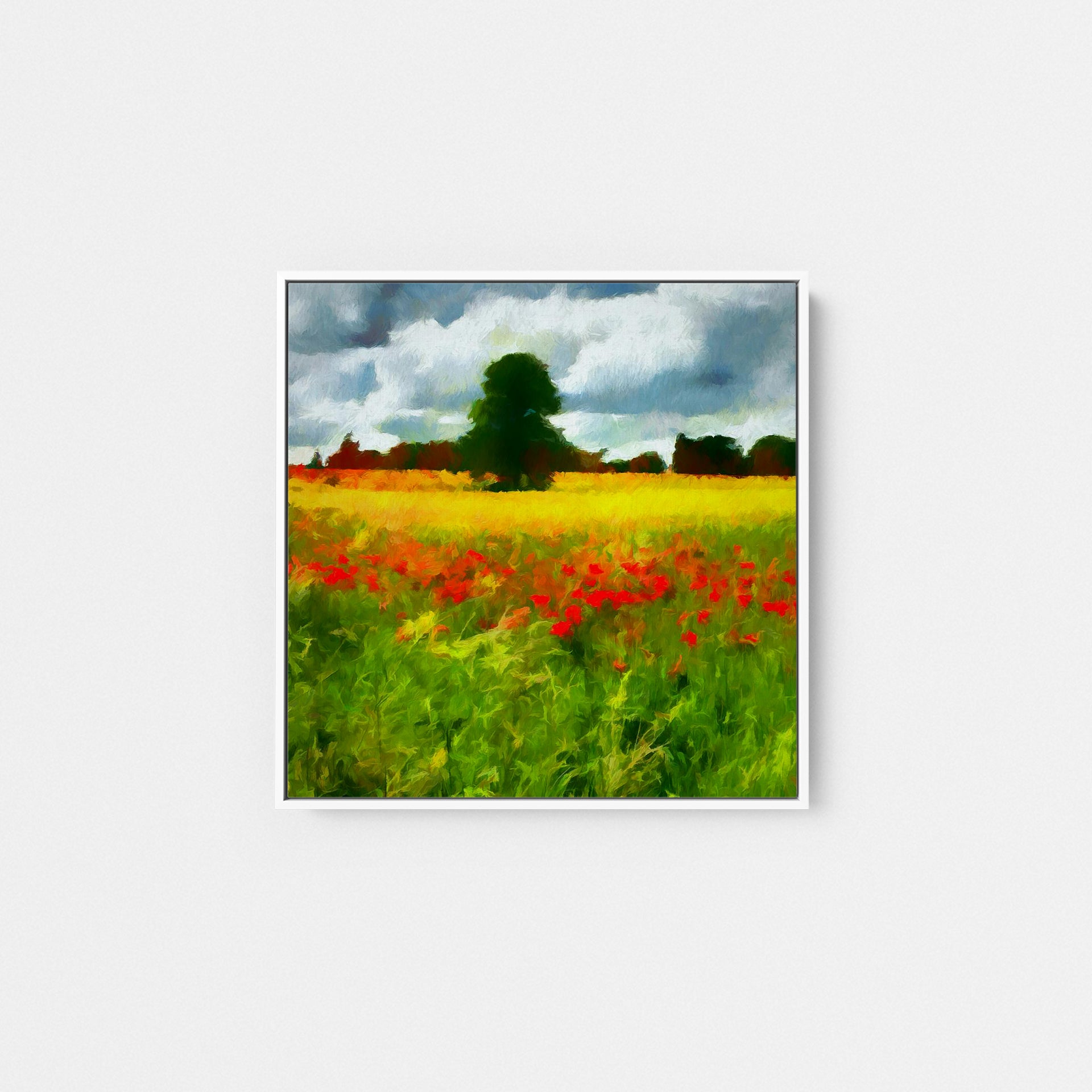 Bordeaux Poppy Fields I