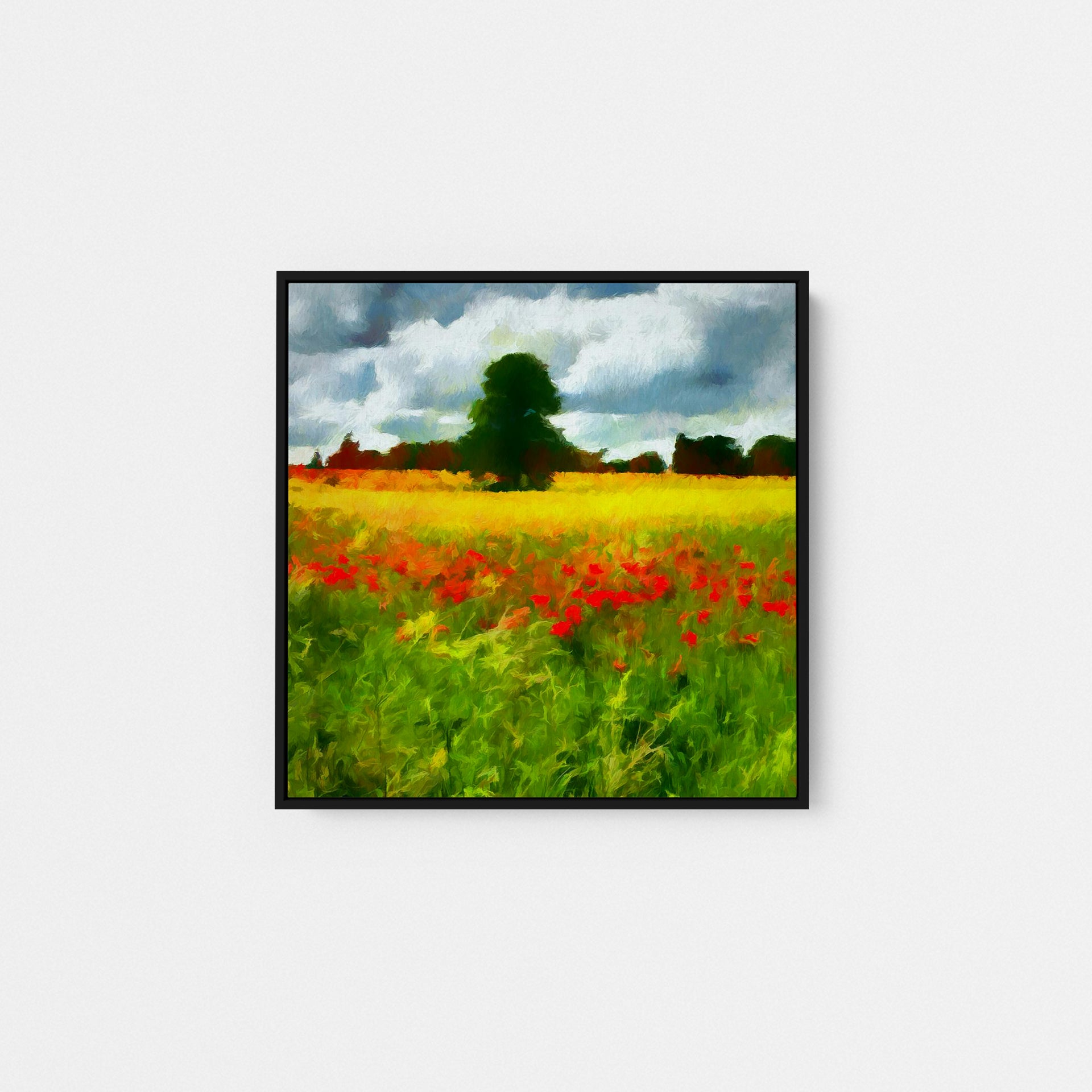 Bordeaux Poppy Fields I