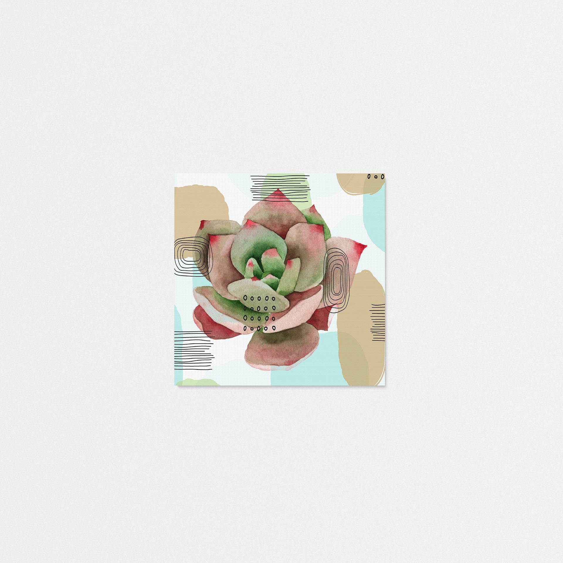 Succulent 81